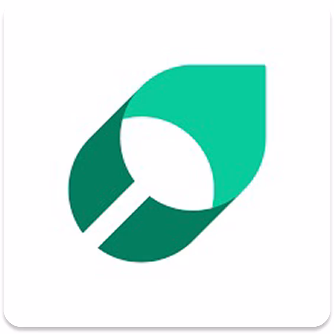 Mintlify